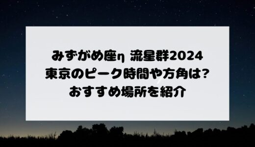 みずがめ座η流星群2024東京のピーク時間や方角は?おすすめ場所を紹介